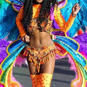 Our Entertainers - World Beat Sydney | Live Music and Dancing